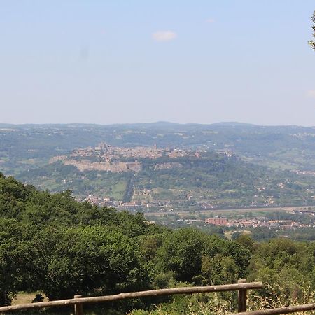 Agriturismo Fattoria Poggio Boalaio Villa Orvieto Luaran gambar