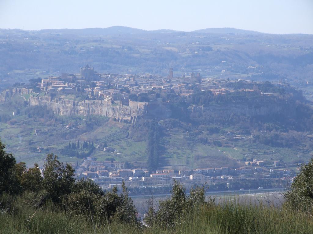 Agriturismo Fattoria Poggio Boalaio Orvieto Luaran gambar