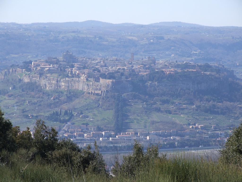 Agriturismo Fattoria Poggio Boalaio Villa Orvieto Luaran gambar