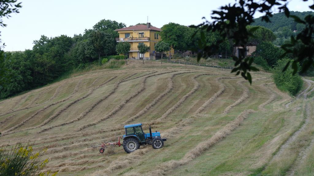 Agriturismo Fattoria Poggio Boalaio Villa Orvieto Luaran gambar