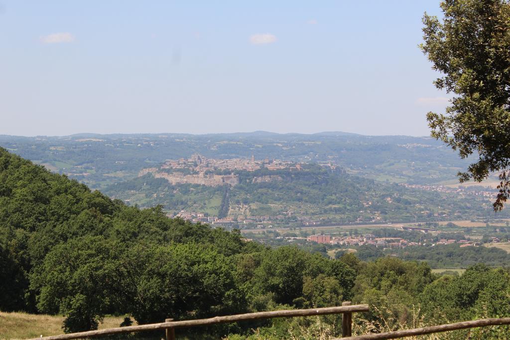 Agriturismo Fattoria Poggio Boalaio Villa Orvieto Luaran gambar