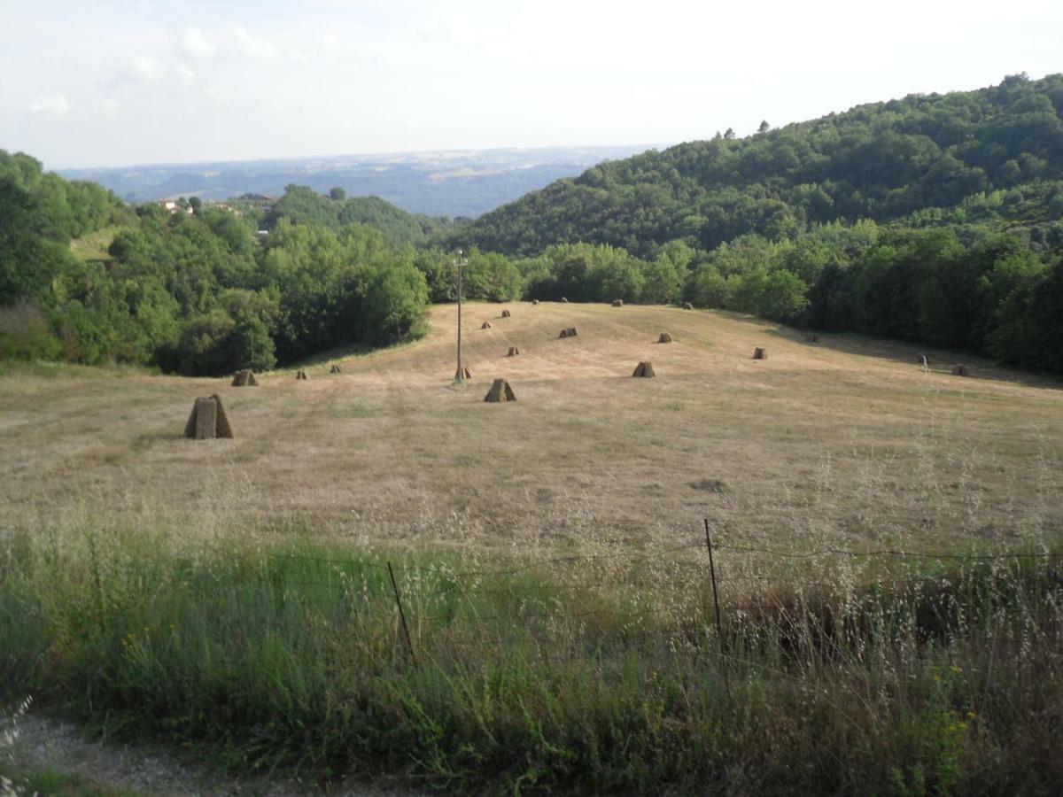 Agriturismo Fattoria Poggio Boalaio Villa Orvieto Luaran gambar