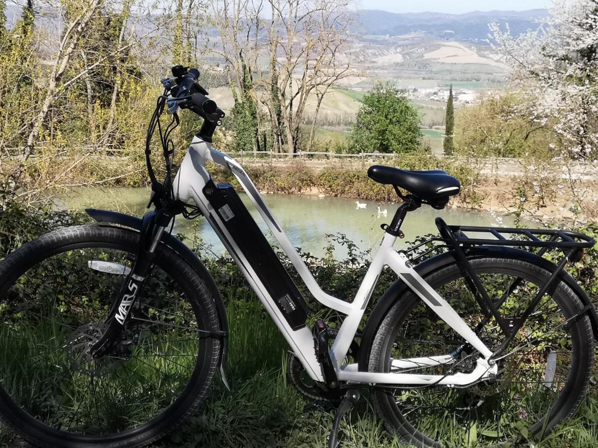 Agriturismo Fattoria Poggio Boalaio Villa Orvieto Luaran gambar